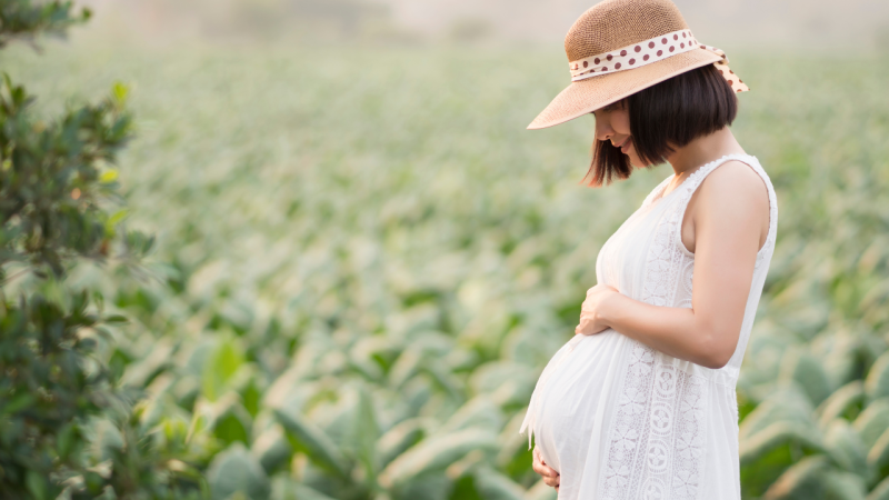妊娠中に準備できること