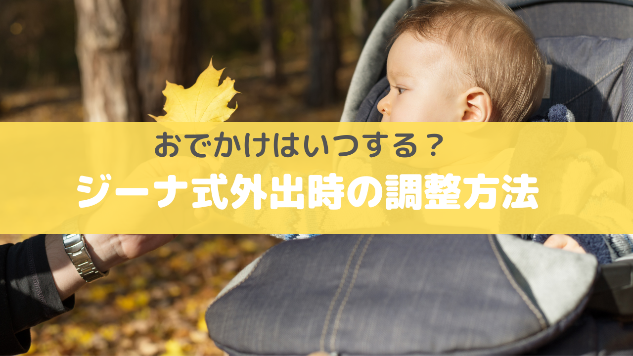 ジーナ式スケジュール調整